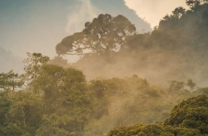 Afrika erreicht Meilenstein: 100 UNESCO-Welterbestätten auf dem (Foto: AdobeStock - Yann 553131522)