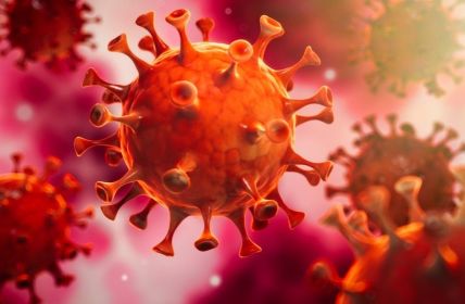 Die Evolution des Corona-Virus: Fragen und Antworten (Foto: AdobeStock - peterschreiber.media _318040586)