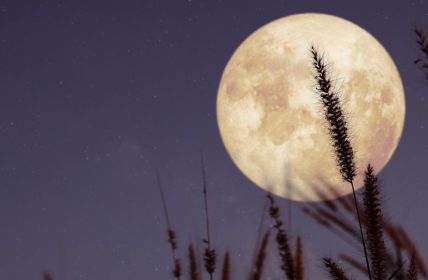 Der Mond: Einfluss auf Gezeiten, Meeresströmungen und Klima (Foto: AdobeStock -  jakkapan 345456870)