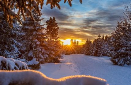 Entspannung und Aktivitäten im winterlichen Harz genießen (Foto: AdobeStock - Andreas Levi 555917566)