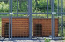 Tierheim Göttingen: Neuer Vertrag mit Tierschutzverein Duderstadt ab 2023 wirft wichtige Fragen auf (Foto: AdobeStock - 442927724 M.i.c.c.a)