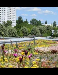 Umkehrdach: Nachhaltige Lösung für begrünte Flachdächer im urbanen (Foto: FPX e.V. Fachvereinigung Extruderschaumstoff)